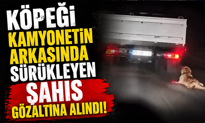 Köpeği kamyonetin arkasında sürükleyen şahıs gözaltına alındı