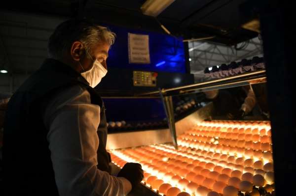 Yumurta ihracatı ülke değiştiriyor 