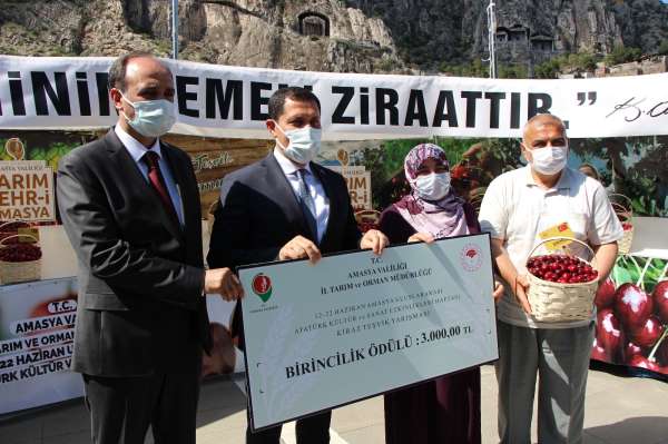 Amasya'da kirazlar yarıştı: Birinciye 3 bin TL ödül
