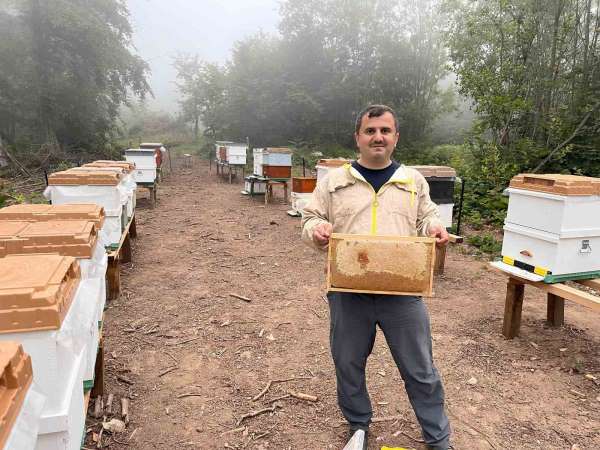 Zonguldak'ta ormangülü balında önemli üretim