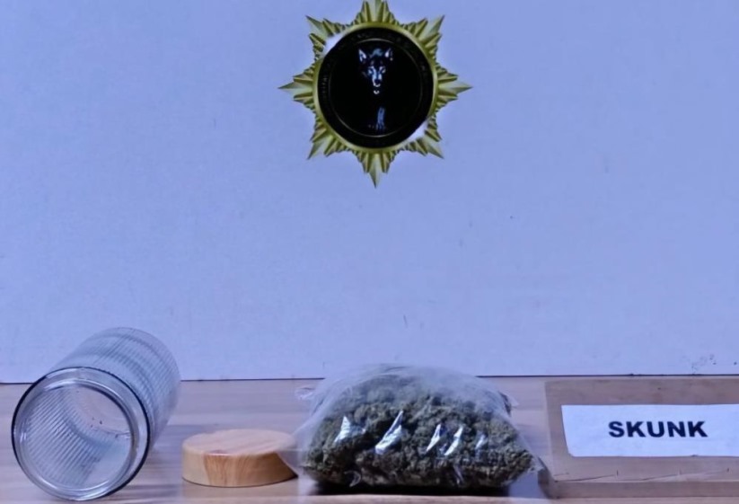 Samsun'da uyuşturucu operasyonu: 7 gözaltı