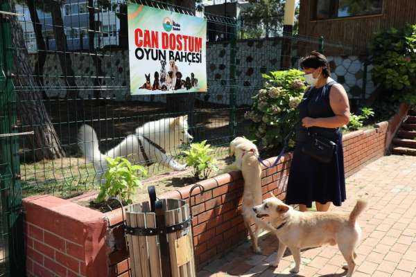 Evcil hayvanlar için 'Can Dostum' oyun bahçesi