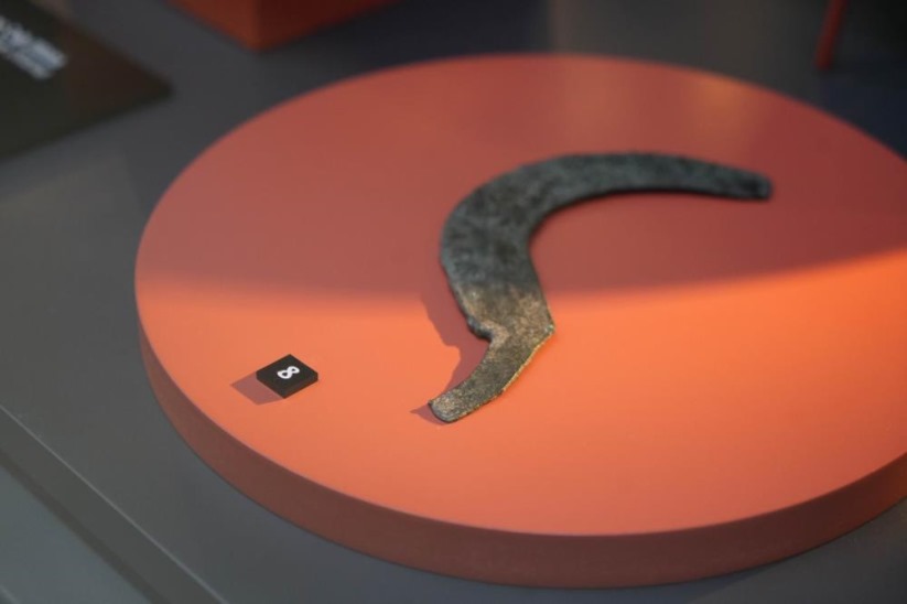 3 bin yıllık fındığın bulunduğu kutsal şehirdeki kazılar 20. yıla ulaştı