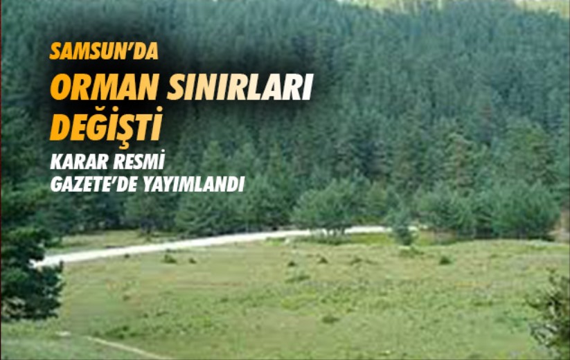 Samsun'da orman sınırları değişti. Karar Resmi Gazete'de yayımlandı