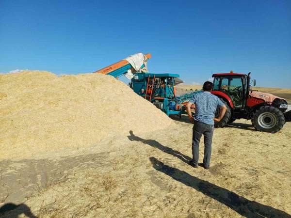 Geçen yıl tarlada çürüyen saman, bu yıl çiftçinin yüzünü güldürdü