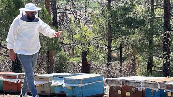 Muğla'da arılı kovan destekleme tespit çalışması yapıldı