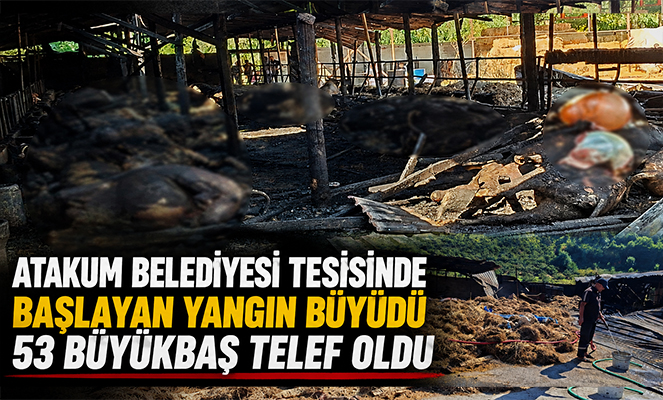 Samsun'da yangın: 53 büyükbaş hayvan telef oldu