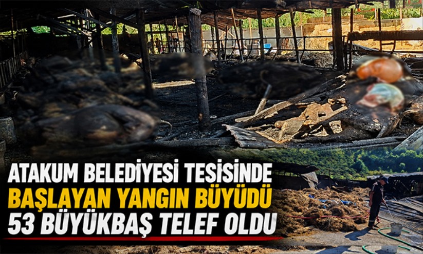 Samsun'da yangın: 53 büyükbaş hayvan telef oldu