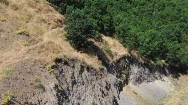 Bingöl'de nesli tükenme tehlikesi altında dağ keçisi görüntülendi