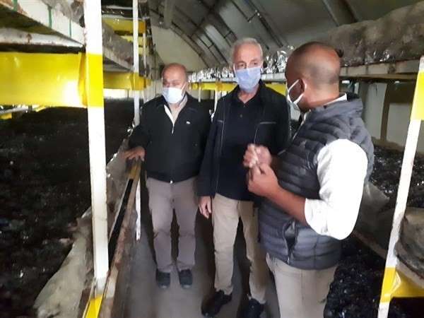 Isparta'da 24 aileye mantar üretimi desteği