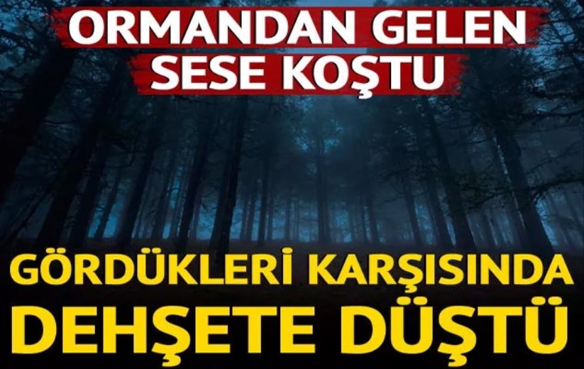 Ormandan gelen sese koştular! Kardeşi gördüğü manzara karşısında dehşete düştü