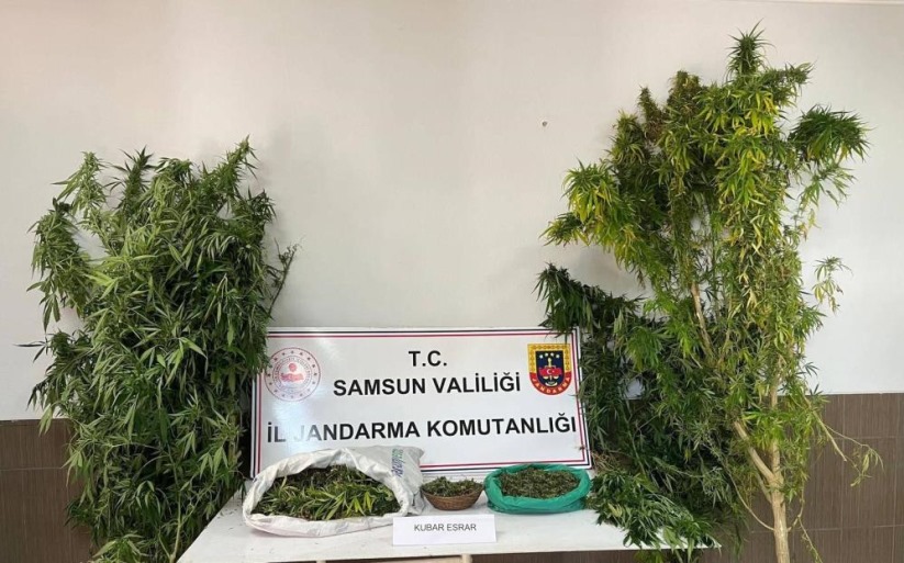 Samsun'da jandarmadan uyuşturucu operasyonu