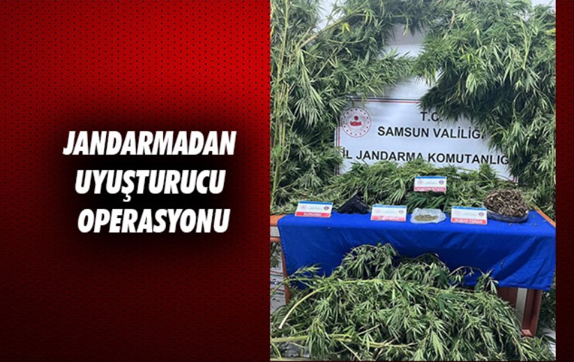 Samsun'da jandarmadan uyuşturucu operasyonu