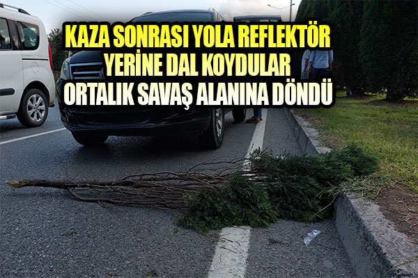 Kaza sonrası yola reflektör yerine dal koydular ortalık savaş alanına döndü