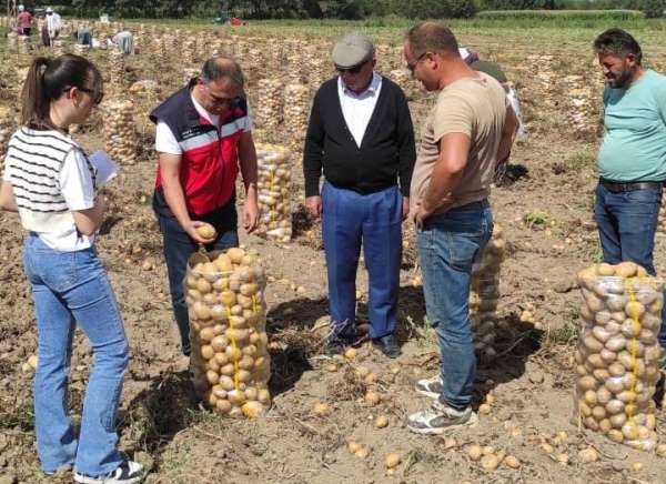 Altıntaş'ta patates ekiliş ve hasat kontrolleri