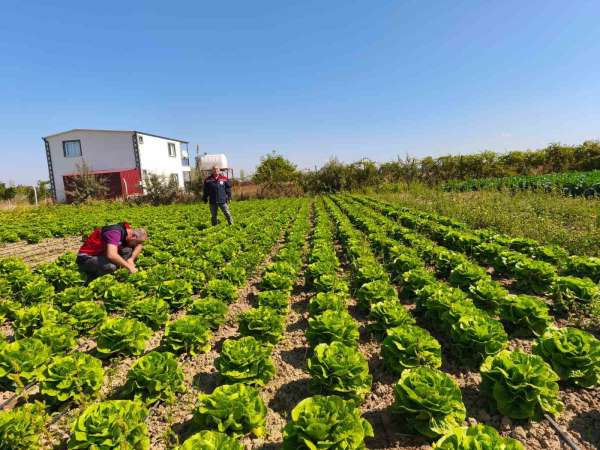 Beyşehir'de bitkisel üretim takip altında