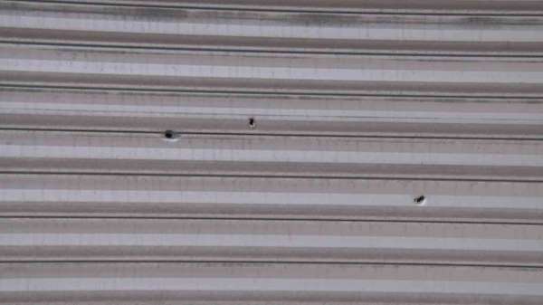 Ümraniye'de eczaneye silahlı saldırı: 'Haraç vermeyince kurşunladılar'