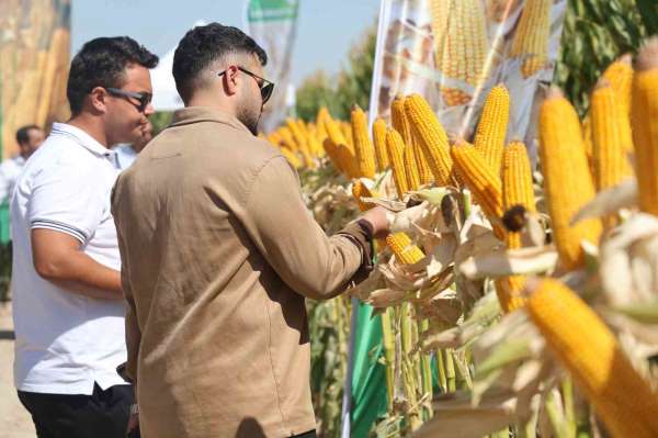 Yeni hibrit mısır çeşitleri Konya'da çiftçilere tanıtıldı