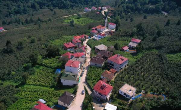 Ordu'da beton yol çalışmaları sürüyor