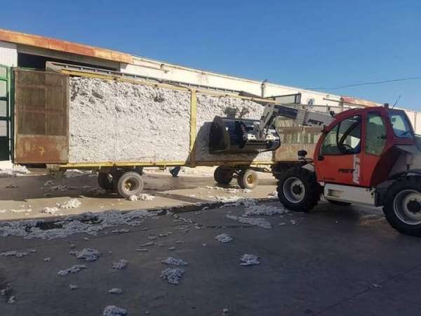 Söke TARİŞ 22 milyon kilogram pamuk alımı yaptı - Aydın haber