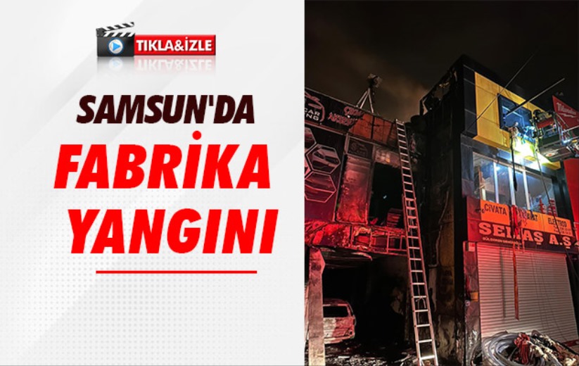 Samsun'da fabrika yangını