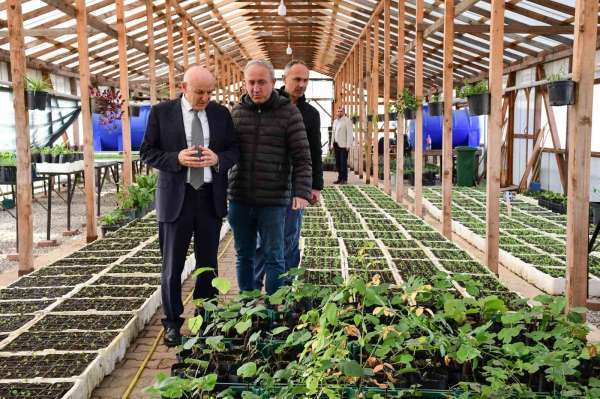 Terme'de mevsimlik çiçekler toprakla buluşmaya hazırlanıyor