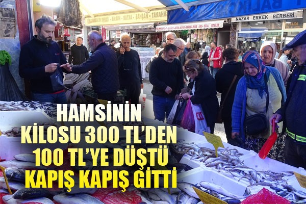 Hamsini kilosu 300 TL'den 100 TL'ye düştü: Kapış kapış gitti