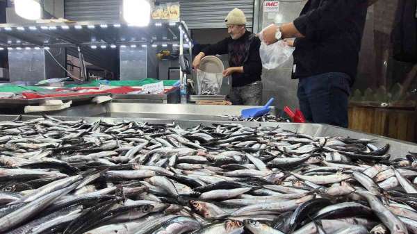 Karadeniz'de hamsi bollaştı, Bartın'da kilosu 50TL'ye düştü