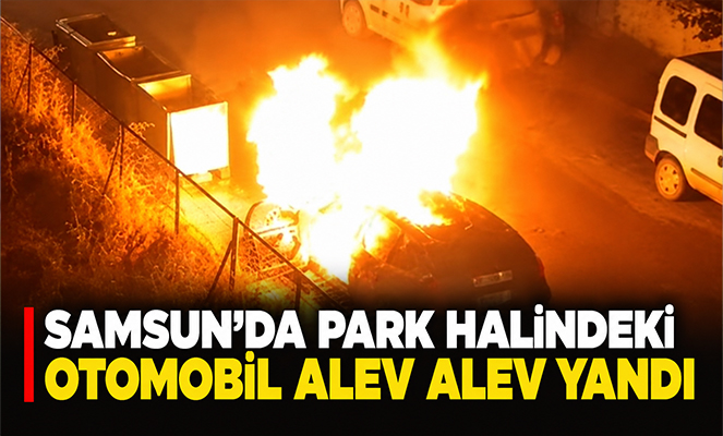 Samsun'da park halindeki otomobil alev alev yandı