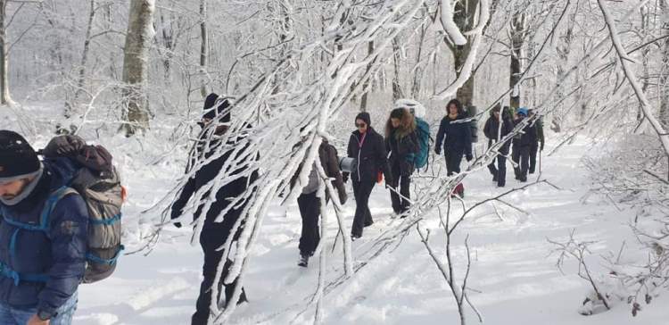 Samsun Haberleri: Dağcılardan Kocadağ'da kış eğitimi