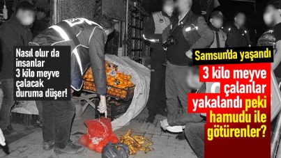 Samsun'da meyve çalan gençler, yiyemeden yakalandı