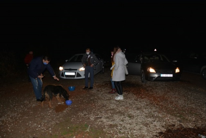 Samsun'da ormana terk edilen köpekler aç ve susuz