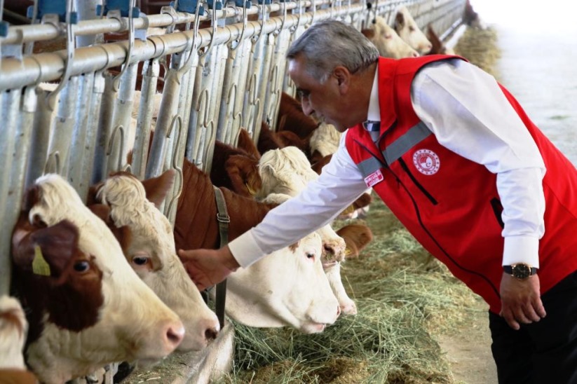 Samsun'dan yurt dışına süt ihraç edecek besici sayısı 6'ya yükseldi