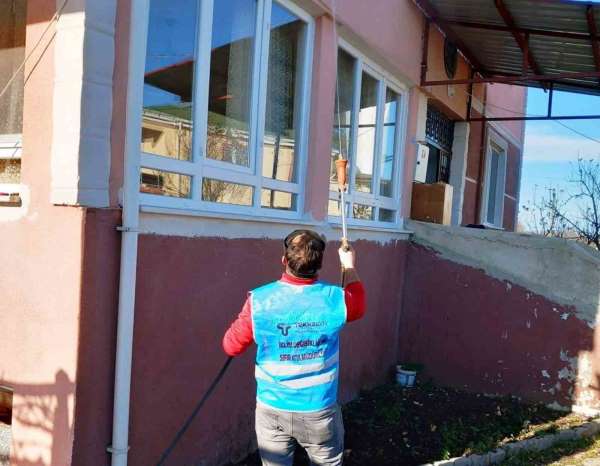 Tekkeköy'de kahverengi kokarcayla kışlak savaşı