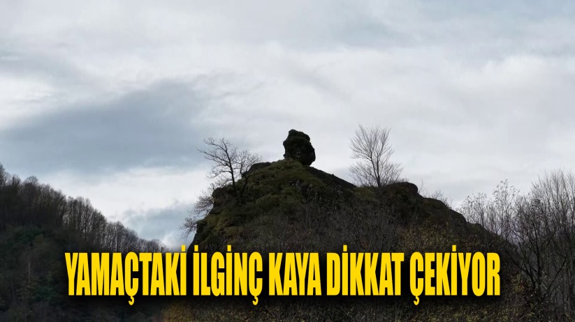 Yamaçtaki ilginç kaya dikkat çekiyor