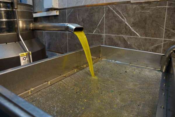 Zeytinyağı fiyatları belli oldu, fiyatlarda artış yaşandı