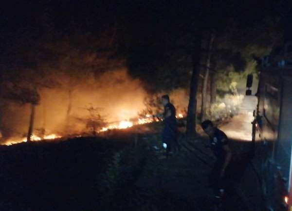 Amasya'da örtü yangını: 1 dönüm alan kül oldu 
