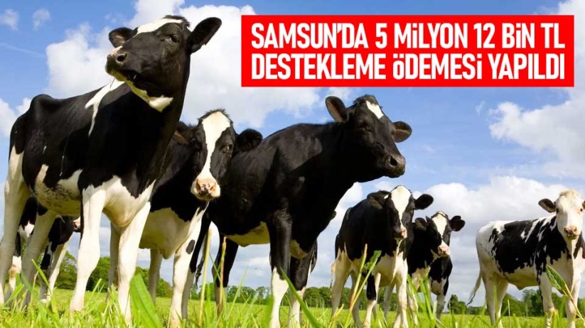 Samsun'da 5 milyon 12 bin TL destekleme ödemesi yapıldı