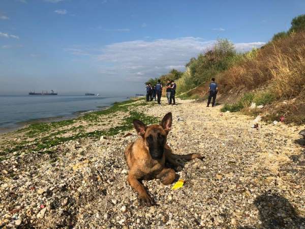 Beylikdüzü Kavaklı Sahili'nde poşet içerisinde yeni doğmuş bir bebek cesedi kıyı
