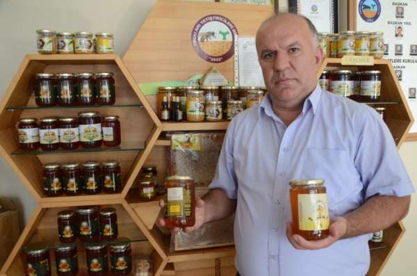 Karadeniz'de gramla üretilen arı sütü, yurt dışına ihracat yolunda 