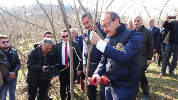 Vali Yavuz: 'Fındık üretimi yüzde 10 artarsa, 400 milyon lira ek gelir olur' 
