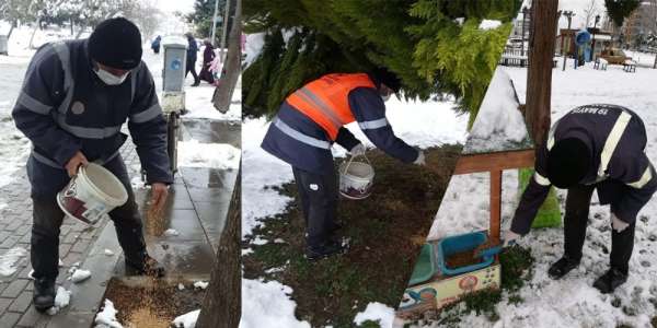 Doğaya kuşlar için yem, sokak hayvanları için mama
