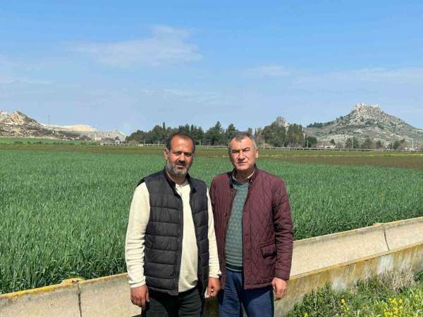 Ceyhan'da toprak yağmurla buluştu, çiftçinin yüzü güldü - Adana haber