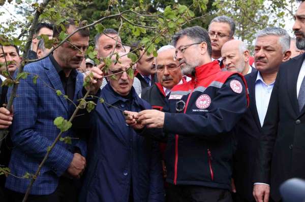 Bakan Yumaklı: 'Zirai don nedeniyle zarar gören ağaçlarda kulaktan dolma bilgilerle budama yapılmamalı'