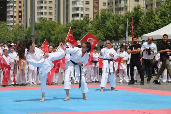 Diyarbakır'da 19 Mayıs, halk oyunları ve milli sporcuların gösterileriyle kutlandı