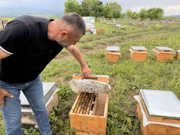 Sel ve soğuk arasında kalan gezgin arıcı: 'Ne gidebiliyoruz, ne kalabiliyoruz'