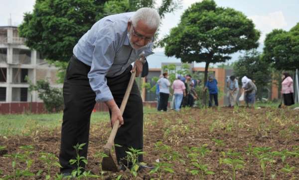 Huzurevi sakinleri fide dikti