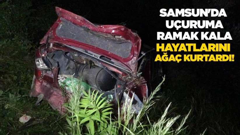 Samsun'da uçuruma ramak kala hayatlarını ağaç kurtardı!