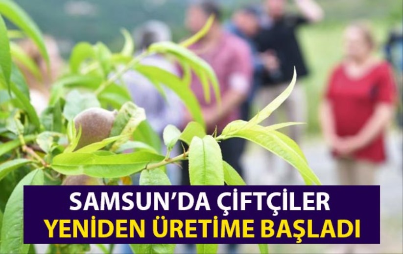 Samsun'da çiftçiler yeniden üretime başladı