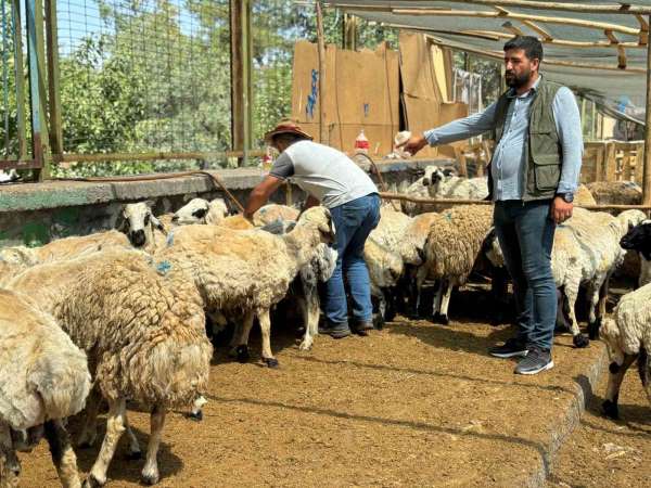 Diyarbakır'da hayvan pazarlarında bayramın son günü yoğunluk arttı